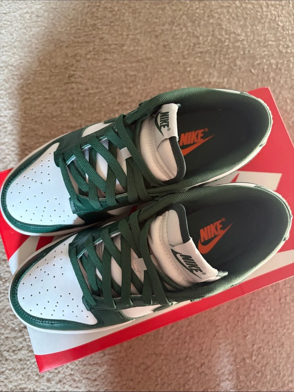 Nike Michigan State Dunks